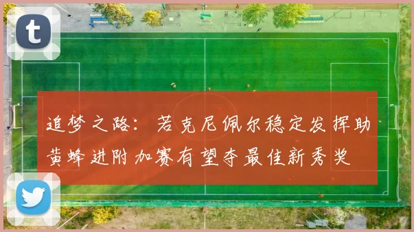 追梦之路：若克尼佩尔稳定发挥助黄蜂进附加赛有望夺最佳新秀奖