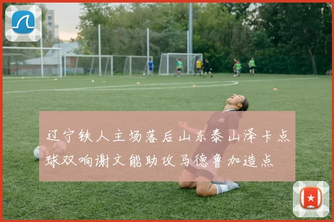 辽宁铁人主场落后山东泰山泽卡点球双响谢文能助攻马德鲁加造点