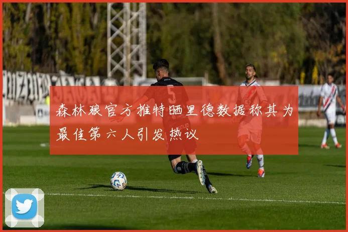 森林狼官方推特晒里德数据称其为最佳第六人引发热议